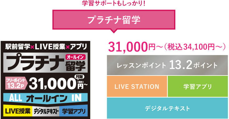 学習サポートもしっかり!プラチナ留学30.000円~