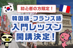 初心者の方限定!入門レッスン開校決定!