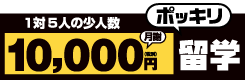 10,000円ポッキリ留学