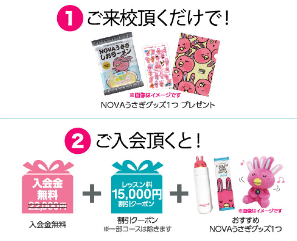 ご来校頂くだけで!NOVAうさぎグッズ1つプレゼント 期間内にご入会頂くと!入会金無料+割引クーポン+おすすめNOVAうさぎグッズ1つ