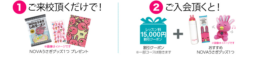 ご来校頂くだけで!NOVAうさぎグッズ1つプレゼント 期間内にご入会頂くと!割引クーポン+おすすめNOVAうさぎグッズ1つプレゼント!